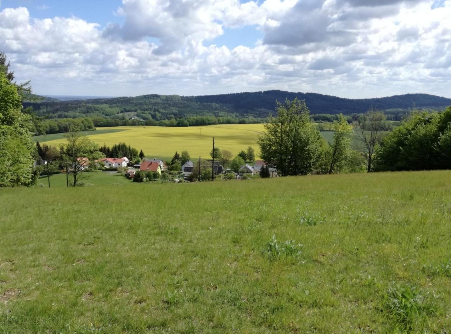 FeWo Magnolie in Steina bei Pulsnitz Exterior foto