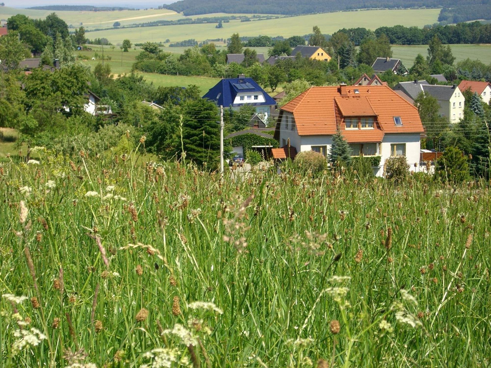 FeWo Magnolie in Steina bei Pulsnitz Exterior foto