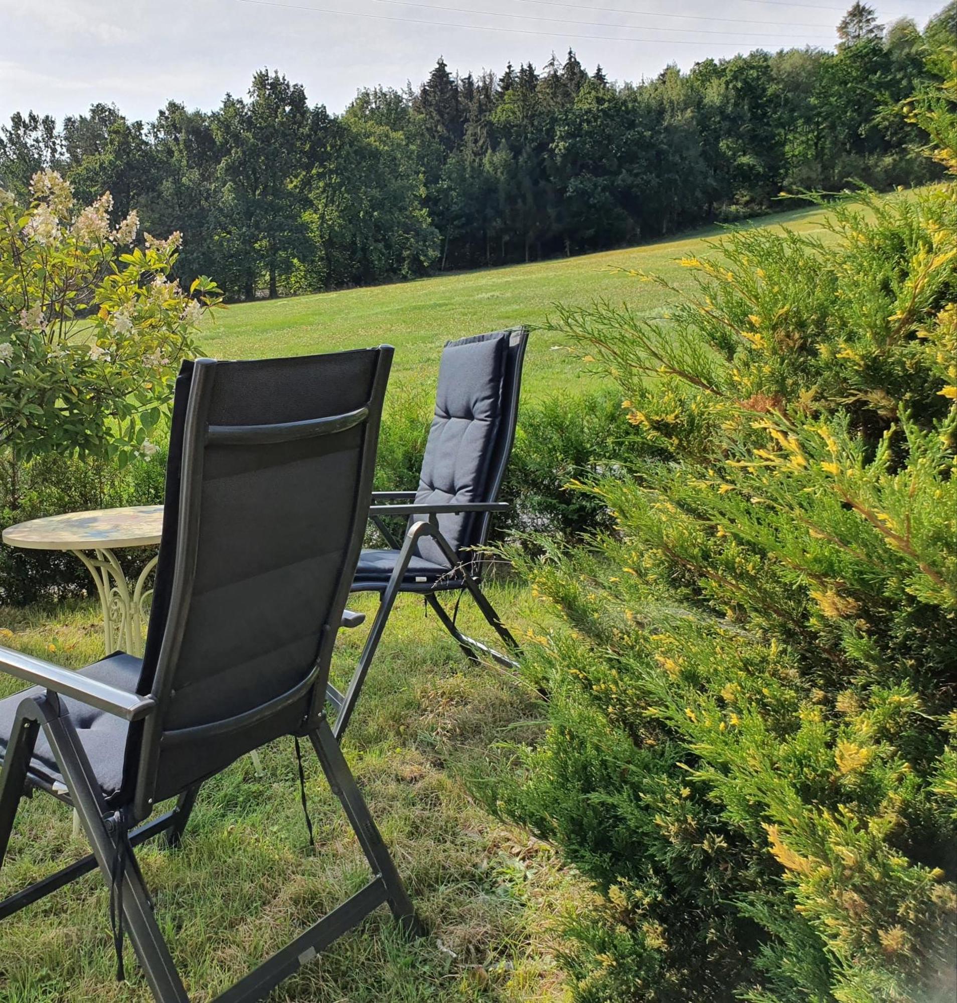 FeWo Magnolie in Steina bei Pulsnitz Exterior foto